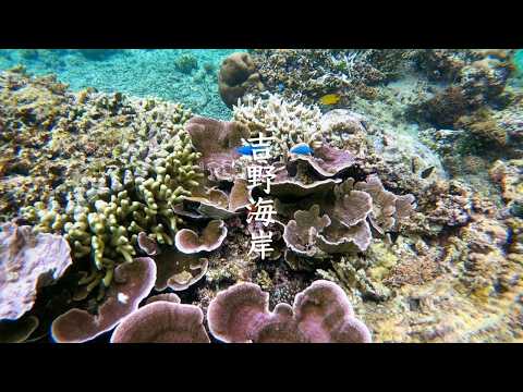 Yoshino Kaigan - Okinawa - Miyako-jima - 吉野海岸