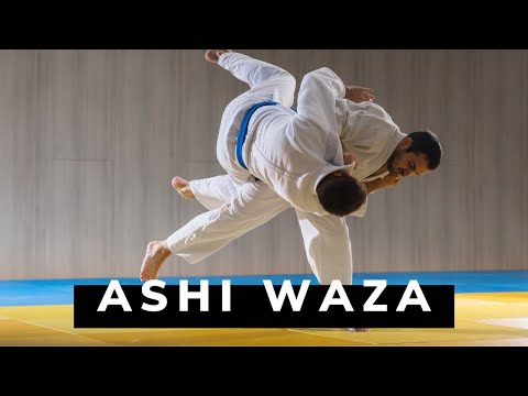 3 ท่าทุ่มยูโด Ashi Waza : Harai goshi, Uchi mata, Hane goshi