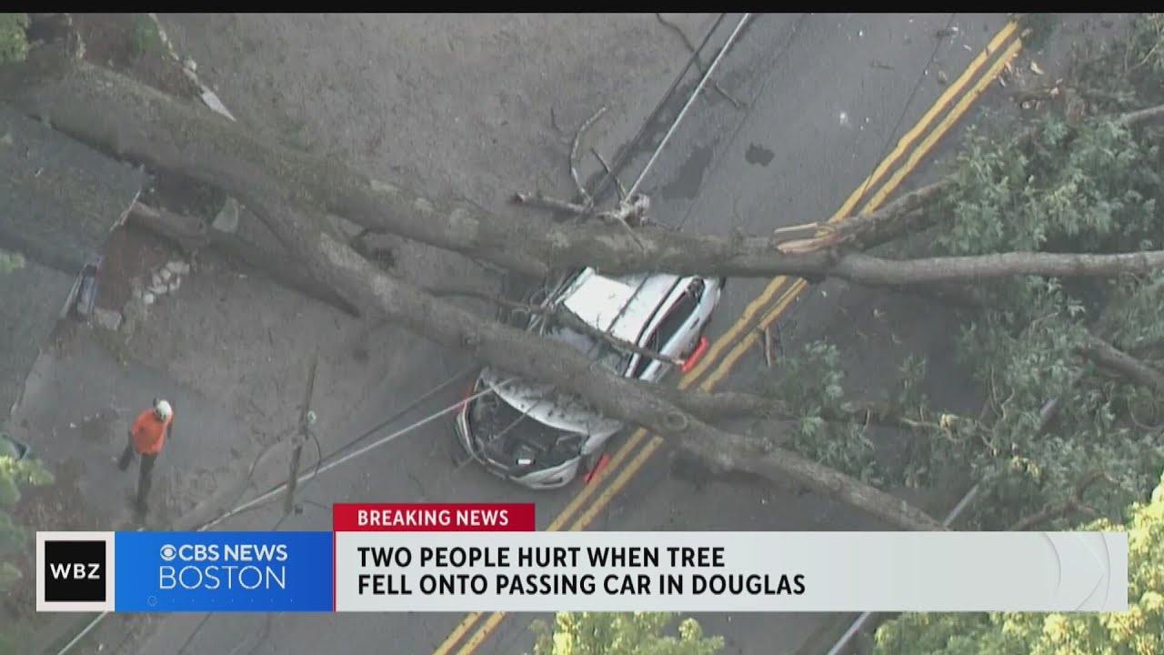 Tree falls on car on South Street in Douglas