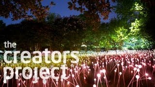 A Field of 20,000 Glowing Lights | Bruce Munro at Cheekwood