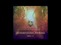 Ananda Project feat. Marta Gazman - Beautiful Searching (Satoshi Fumi Remix)