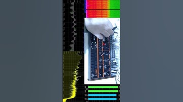 Behringer Grind | 7 New Patches | 5 WormBark |🎶🔌🎹 |  #synthesizer #electronicmusic #semimodular