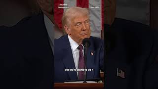 Trump says reciprocal tariffs will kick in on April 2nd