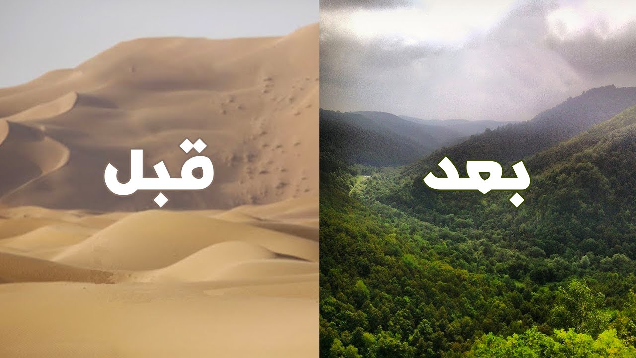 إزاي الصين حولت الصحراء لغابات خضراء؟