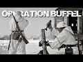 Rzhev Meat Grinder (1943) - WWII’s Forgotten Battlefield