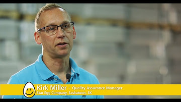 Star Egg Grading Station: Quality Control