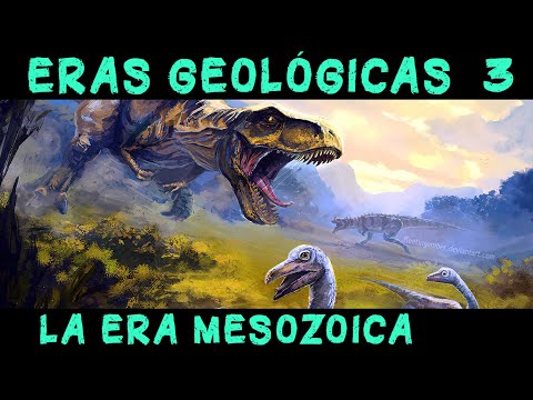 Vídeo: Quins animals van aparèixer a l'era paleozoica?