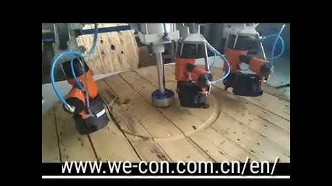 WECON HMI and PLC using on Punch Nails Machine, in Serbia