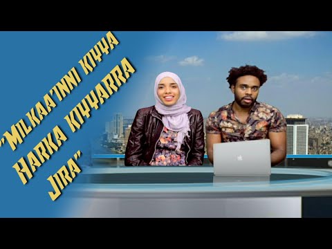 Hulaa UNHCR Tanin Hin Dhadhawin Hin Qabu Imala Gara Milkaa Inaa 3 Kutaa 1ffaa 