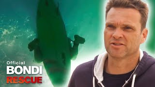 Shark Jump | Bondi Rescue S11