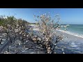 Walking in Caladesi Island | Clearwater, FL