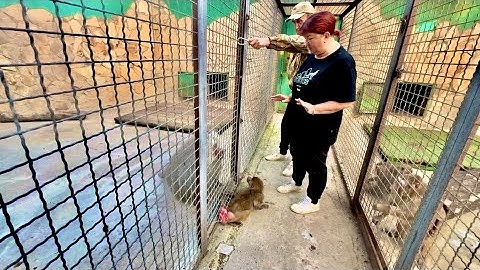 ДОЖДАЛИСЬ! Мы снова ведем нашу Люсю к жениху Елисею, и снова ШОУ с ИСТЕРИКОЙ!!!