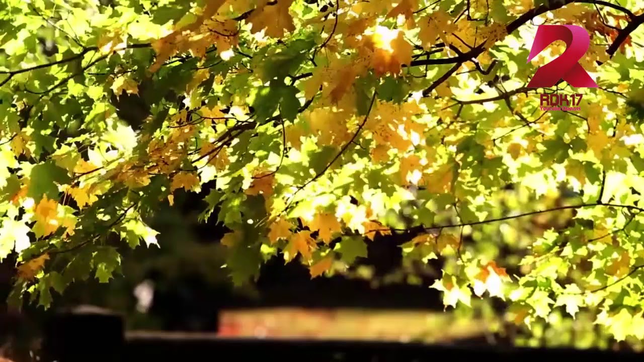 SUKIYAKI INSTRUMENTAL KECAPI YouTube