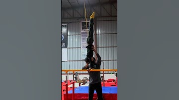 Handstand on parallel bars #gymnastics