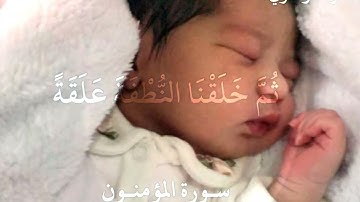 "ياسر الدوسري" سورة المؤمنون {ولقد خلقنا الإنسان من سلالة من طين}...