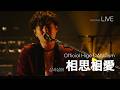 [LIVE] Official髭男dism 오피셜히게단디즘 - 相思相愛 상사상애 ライブ (가사번역/한글자막) 2019 NHK hall