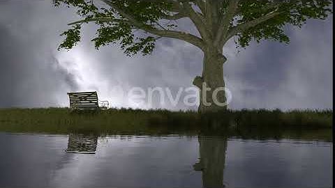 Bench Under Big Tree | Motion Graphics - Envato elements