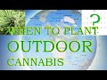 Which date to plant your cannabis outside where your growing