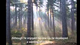 The Vase Movie Trailer