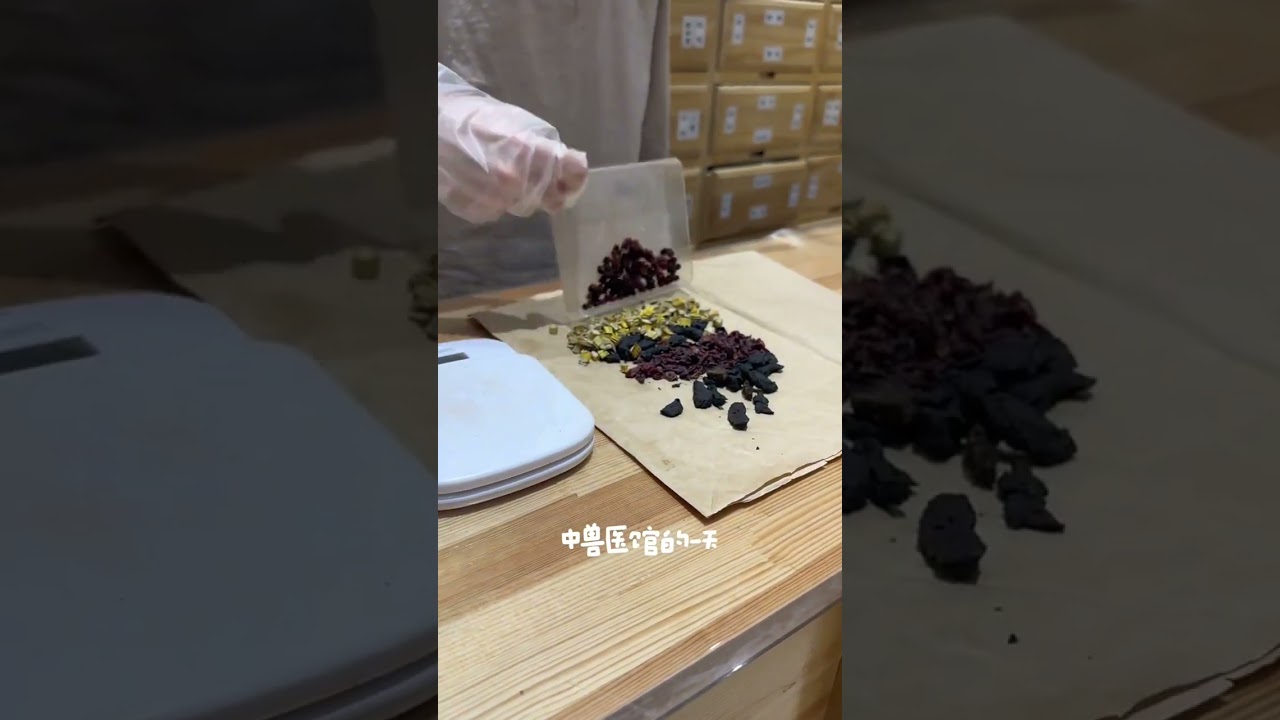 The daily healing routine at the Traditional Chinese Veterinary Medicine Clinic