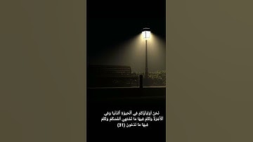 سورة فصلت من آيه  (30) إلى  (31)
