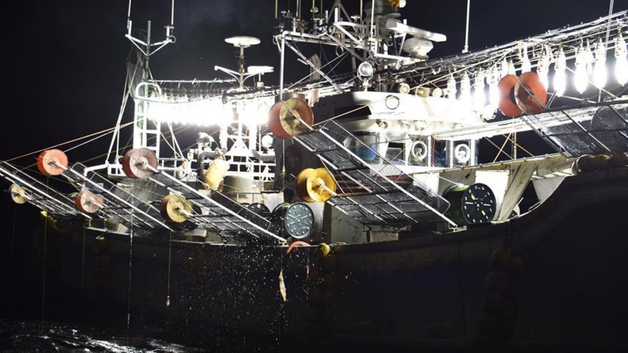 【圧巻】1年ぶりの漁火！イカ釣り漁🦑奥尻海峡🦑北海道せたな町〖2024年 １月〗