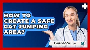 How To Create A Safe Cat Jumping Area? - PetGuide360.com