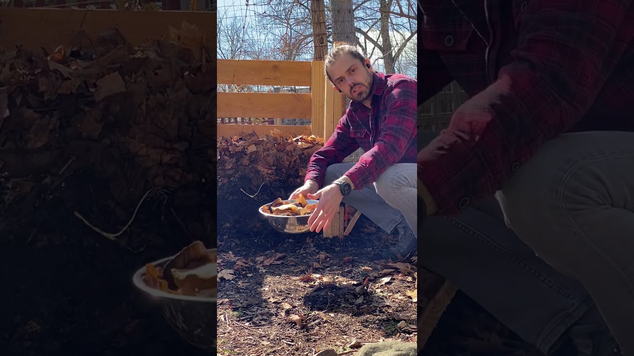 How to Start Composting! - Grow Series