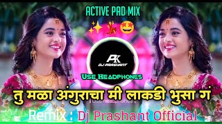 Tu Mala Anguracha Me lakdi Bhusa Ga | तु मळा अंगुराचा मी लाकडी भुसा ग | Active Pad Mix | Dj Prashant