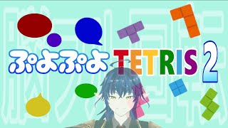 びすたの配信のサムネイル画像