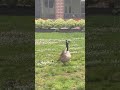 Attacked for speaking to their babies!!!!