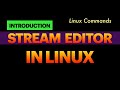 Stream Editor(sed) in Linux | Introduction to Stream Editing in Linux | Part 1