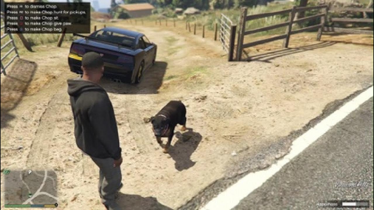 How To Teach Chop Tricks In GTA 5 YouTube 