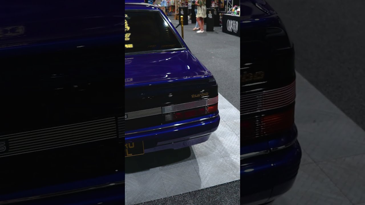  Pro Vl Racing VL Calais Turbo LE At Adelaide Auto Expo 2023