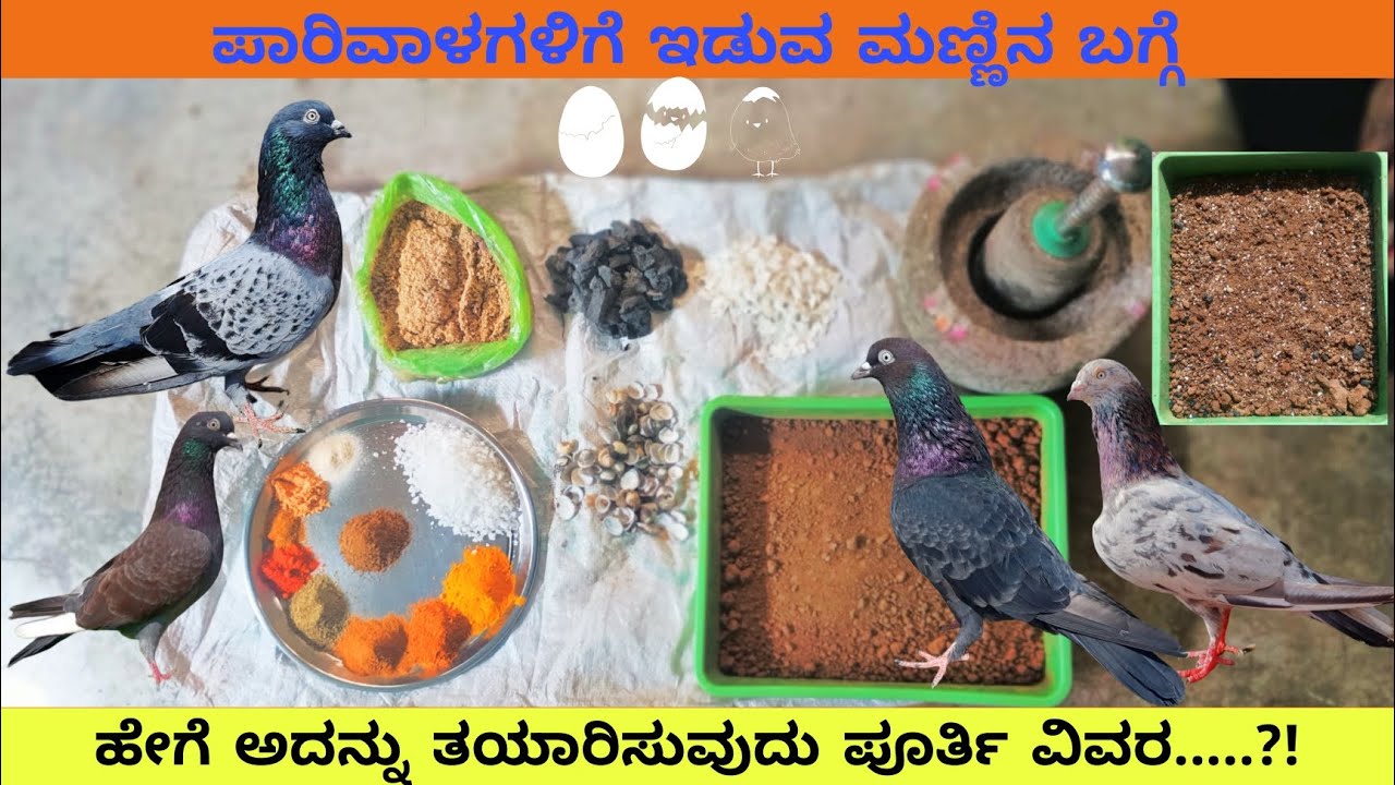 ಪಾರಿವಾಳಗಳಿಗೆ ಇಡುವ ಮಣ್ಣಿನ ಬಗ್ಗೆ ಹಾಗೂ ತಯಾರಿಸುವುದರ ಪೂರ್ತಿ ವಿವರ ಮೊಟ್ಟೆ ಇಡಲು  ಕ್ಯಾಲ್ಸಿಯಂ ಕೂರಿತು 