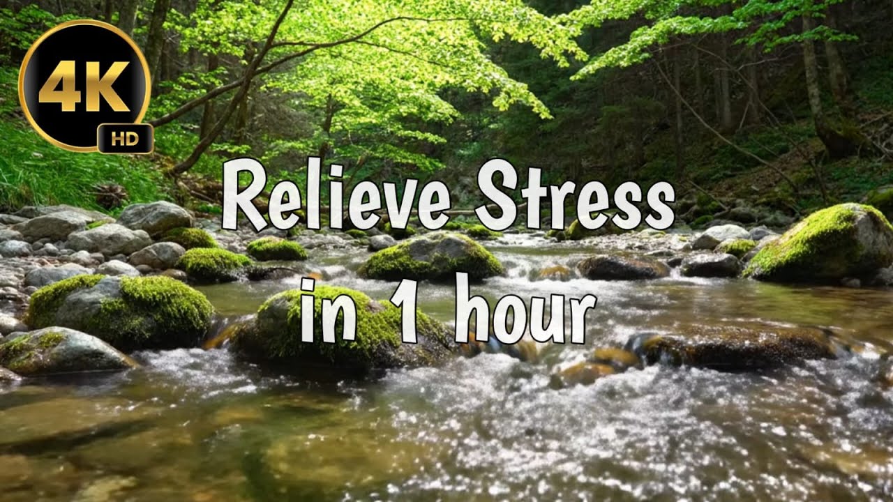 Soothing Nature Water Ambience | Peaceful Forest Escape