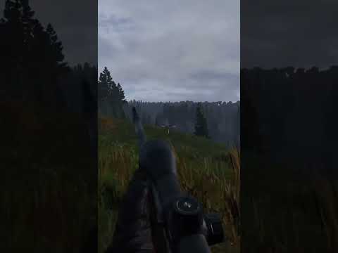 I swear I was being STALKED Lol #shorts #dayz #lol