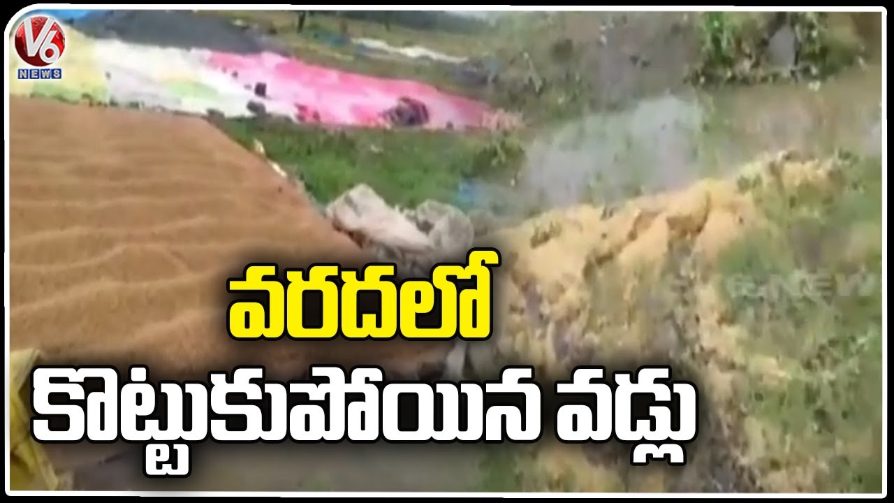 Paddy Crops Washed Away Due To Heavy Rain In Karimnagar | Telangana ...