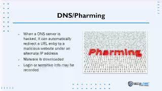What are DNS and Pharming Phishing Attacks - Phishing Tournaments: Don't Get Caught in the Net