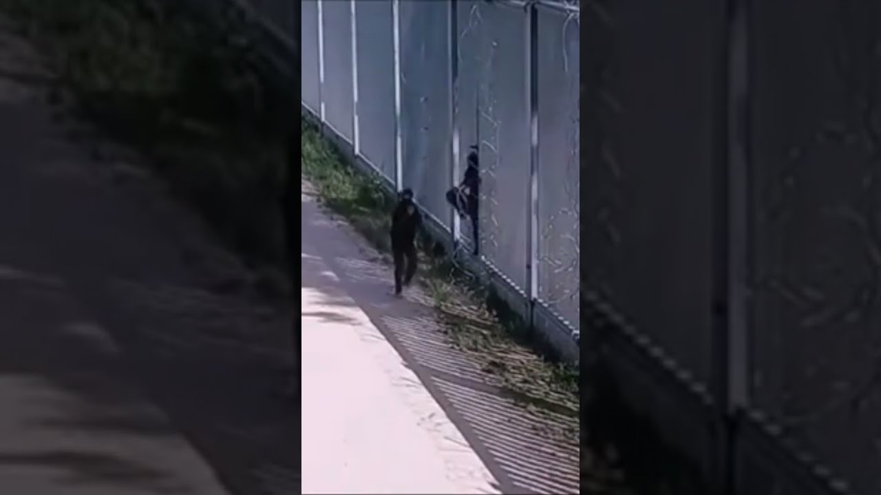 Lenkijos Pasienie Ius Puldin Ja Migrantai 15min Shorts