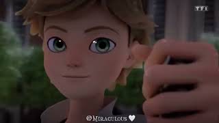 Night Changes x Ephemeral Miraculous Ladybug