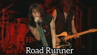 Aerosmith - Road Runner - You Gotta Move 2004
