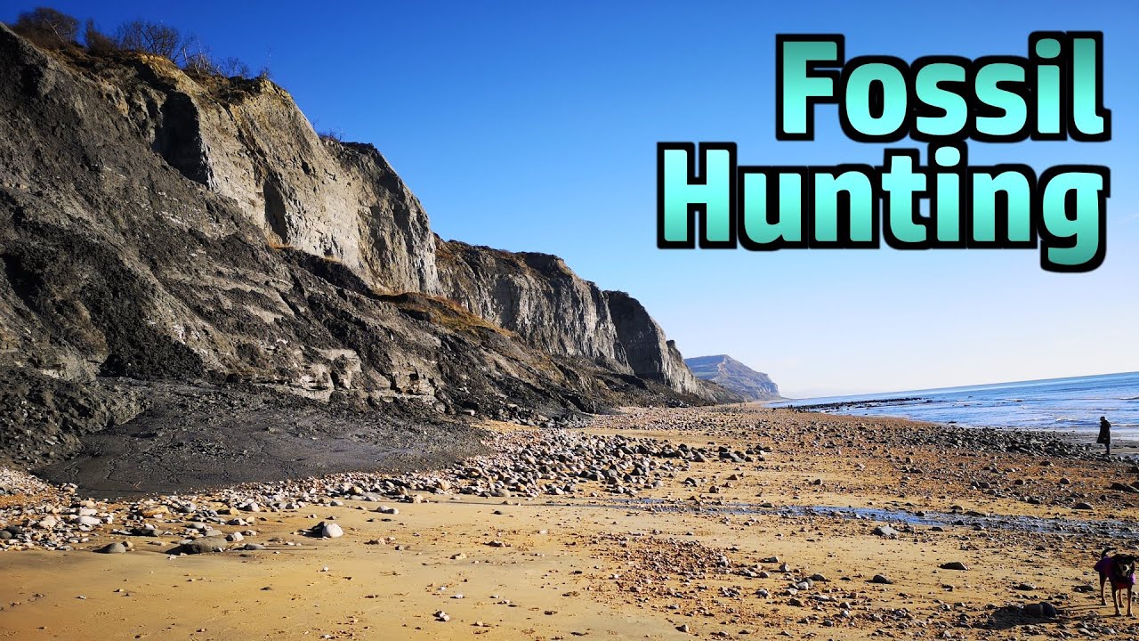 Fossil Hunting at Charmouth