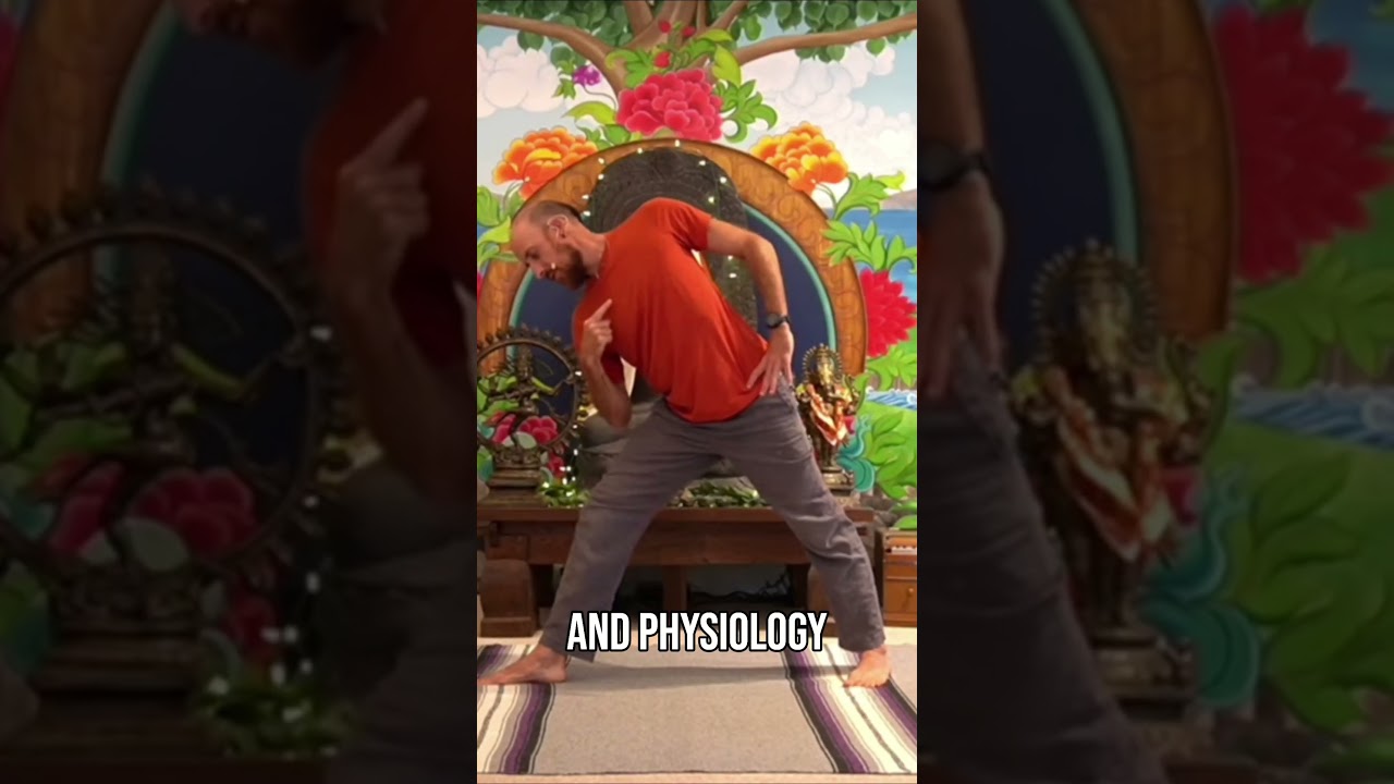 How He Took Yoga Teacher Training Online