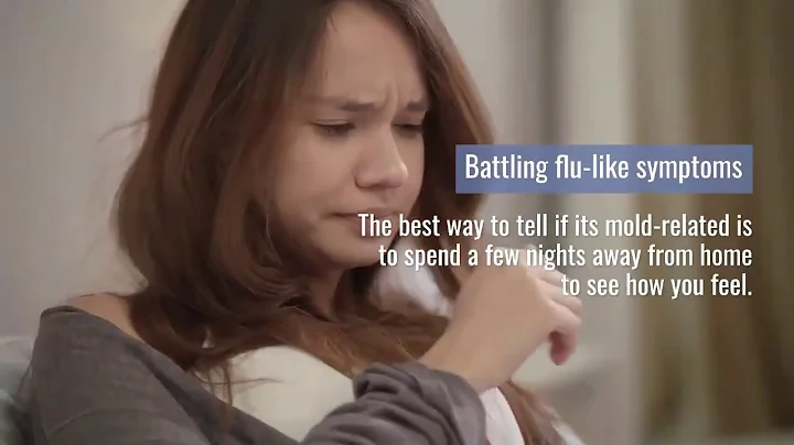 3 Signs You May Have Mold in Your Rockville Maryland Home