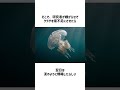 生物はどうして寝るのか。【クラゲ】