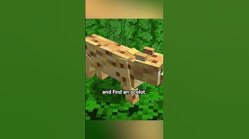 vroeger temden we ocelots