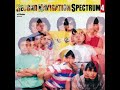 Spectrum - Second Navigation (1981) - 1. Night Night Knight