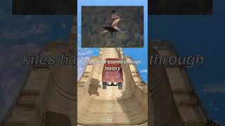 Unveiling the untold history of kites