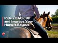 How to Ride a Back Up that Improves Feel and Your Horse’s Balance